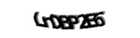 Security check image, please type the characters shown