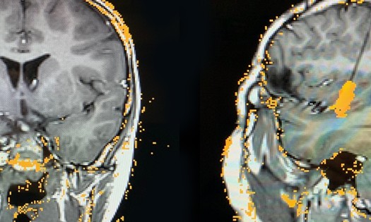 Thumbnail for Research Library