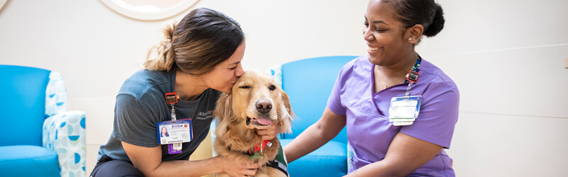 TherapyDogs_Hero