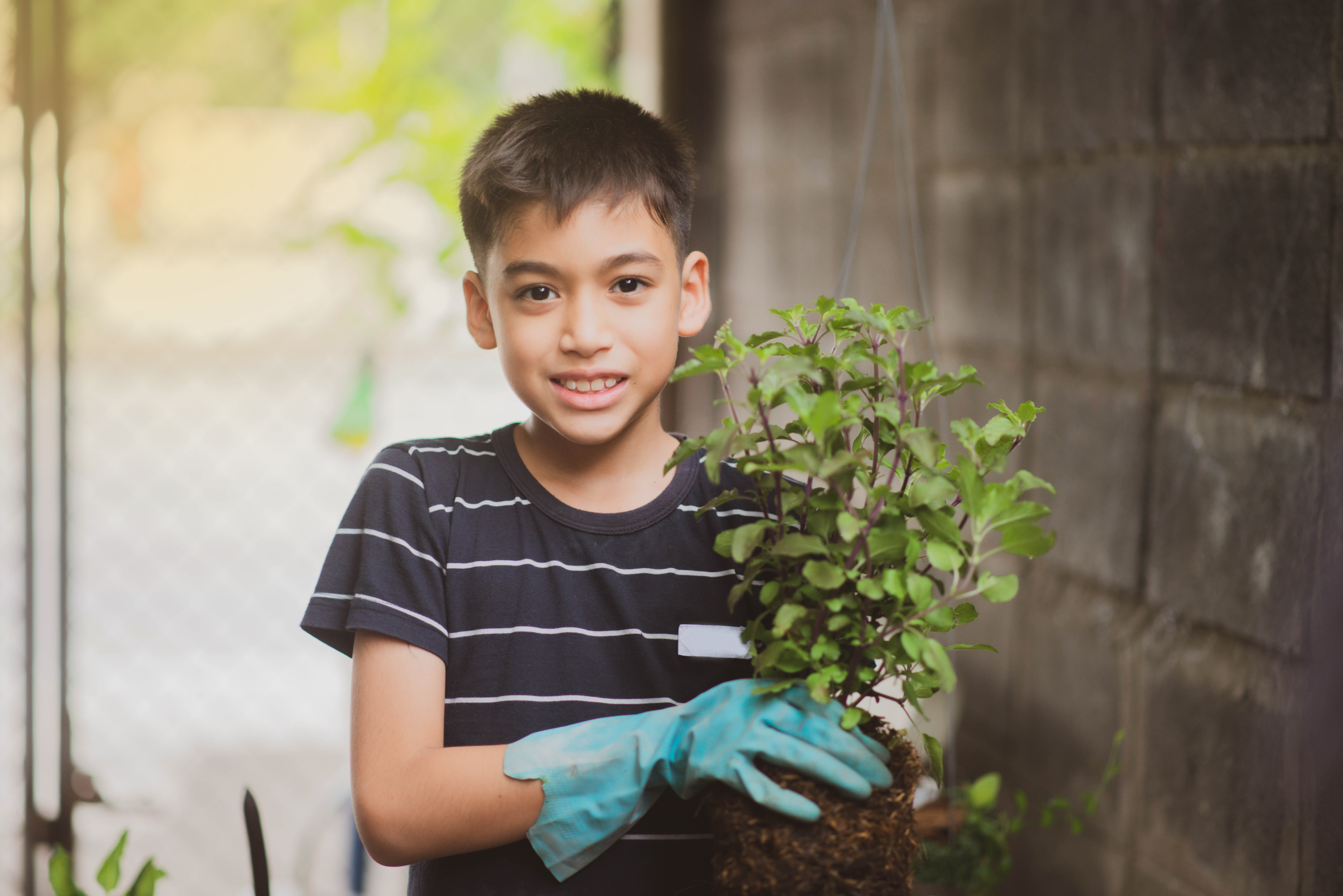 Planting Healthy Habits Program hero image