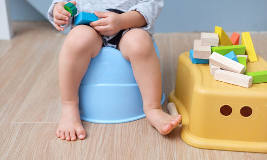 Thumbnail for Common potty problems