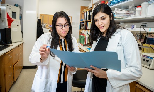 Thumbnail for Research Library