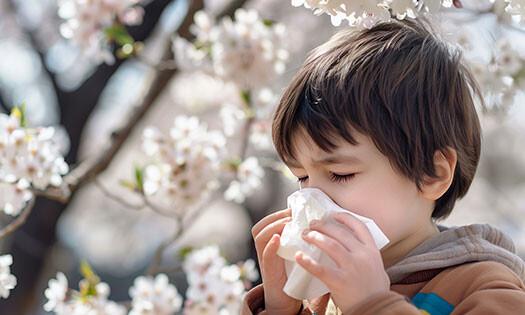 Weather, Treatment, Pharmaceutical, Vaccine, Illness, Allergy, Pollen, Mold, Allergen, Ragweed avatar