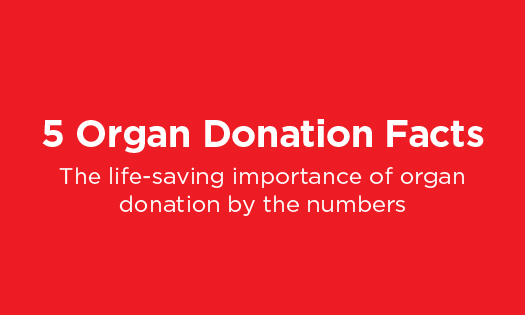 Thumbnail for Organ donation facts